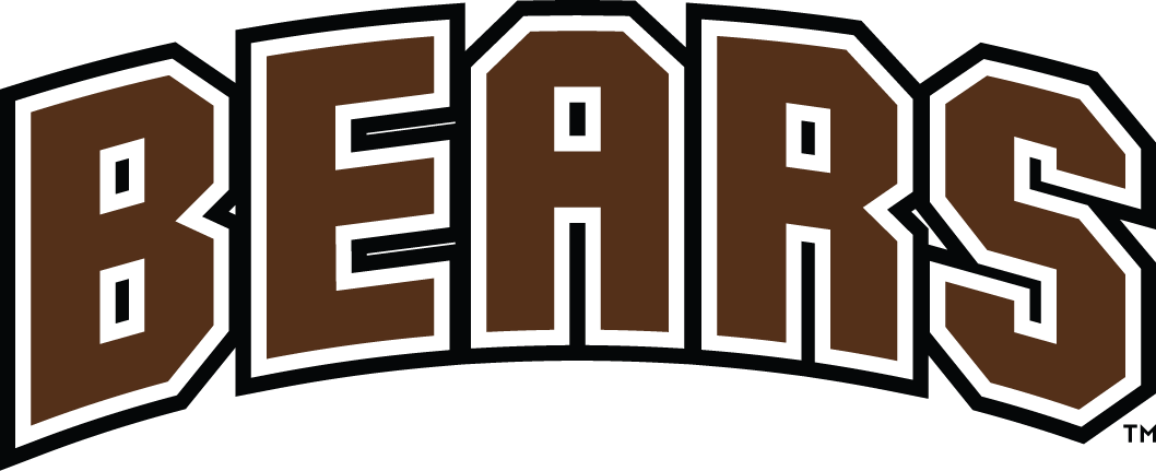 Brown Bears 1997-Pres Wordmark Logo v2 iron on transfers for clothing
